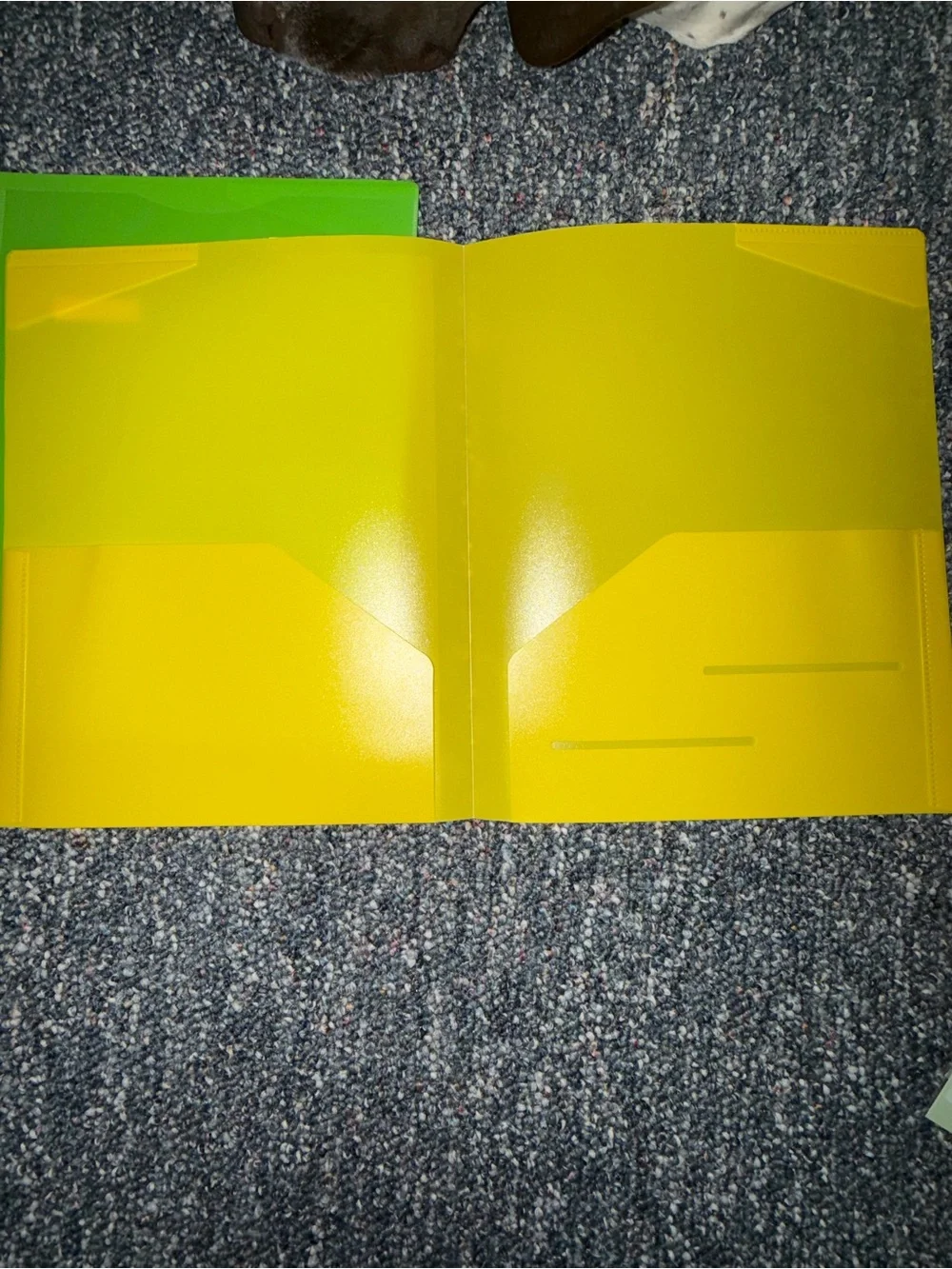 Set of 4 Colorful Plastic Binders - Orange, Blue, Green, Yellow